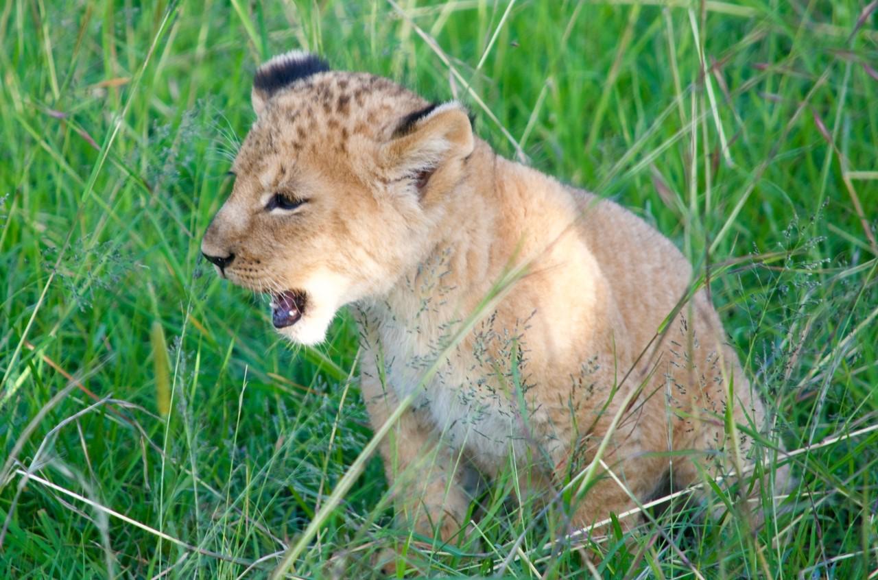 Young photographer Lara Hillier 1 Young photographer Lara Hillier 1